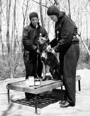 Guard dog April 29, 1943