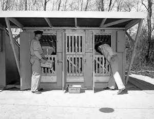 Guard dog kennels April 29, 1943