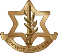 Israel Defense Forces (IDF)