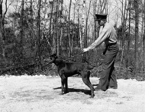 Guard dog April 29, 1943